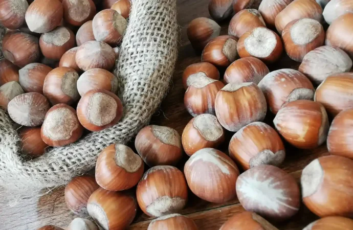 Fiera Nazionale della Nocciola
